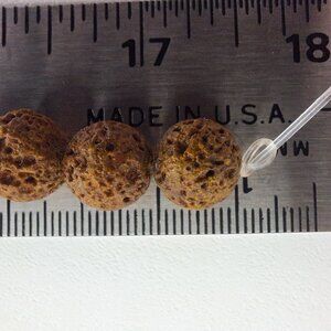 6 strands of dyed Lava beads with tags.